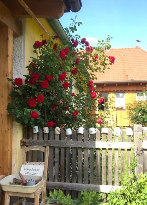 Ferienhaus Mit Garten In Thermennaehe Strebersdorf Eksteriør bilde