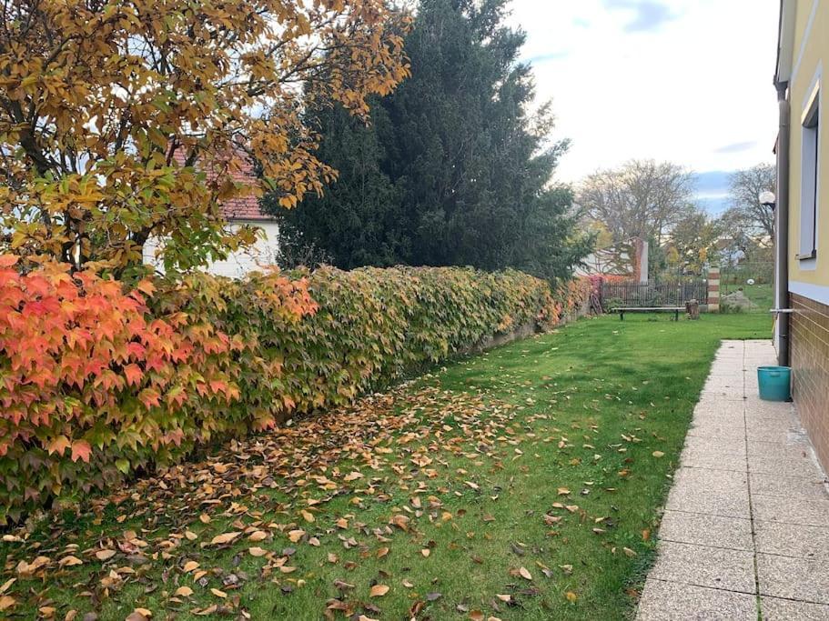 Ferienhaus Mit Garten In Thermennaehe Strebersdorf Eksteriør bilde